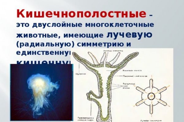 Сайт мега даркнет megadarknetonion com