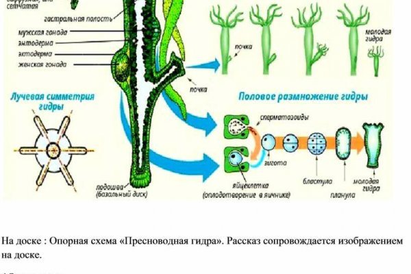 Omg omg сайт анонимных