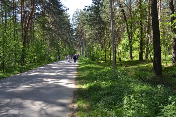 При входе на блэкспрут пишет вы забанены