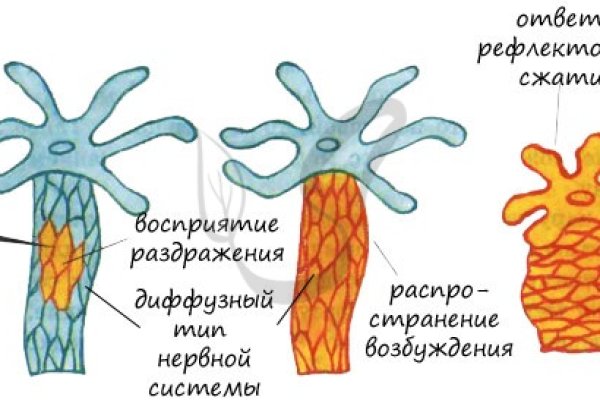 Megaruzxpnew4af union вход на сайт моя