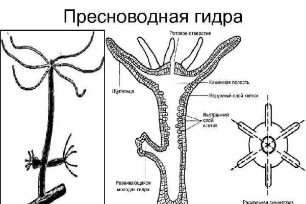 Kraken доступ зеркала